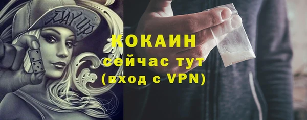тгк Бородино