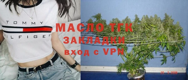 тгк Бородино
