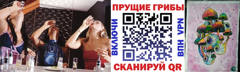 Псилоцибиновые грибы прущие грибы Нестеров
